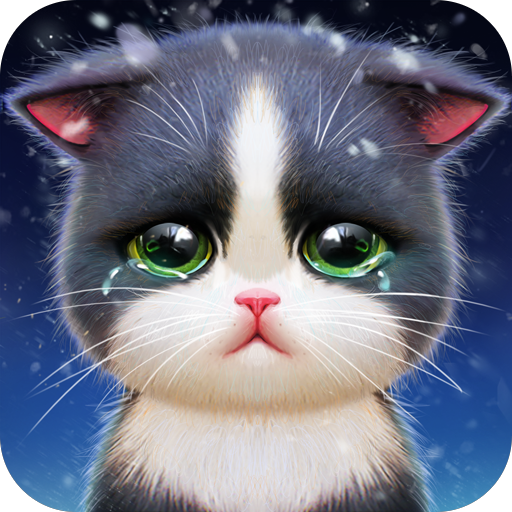 Kitten Match - Google Play पर ऐप्लिकेशन